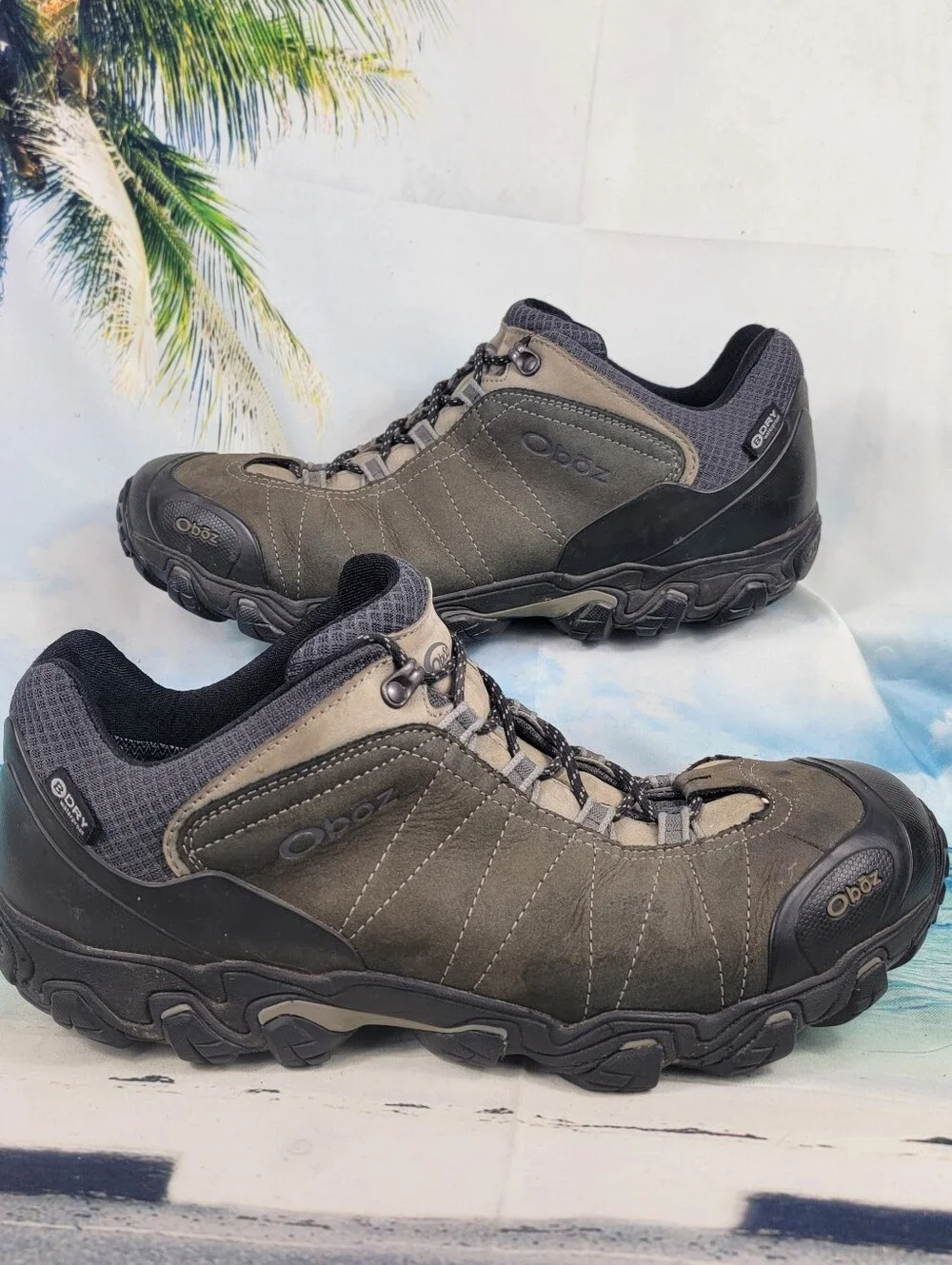 OBOZ Bridger Low BDRY Waterproof Mens 14 Wide